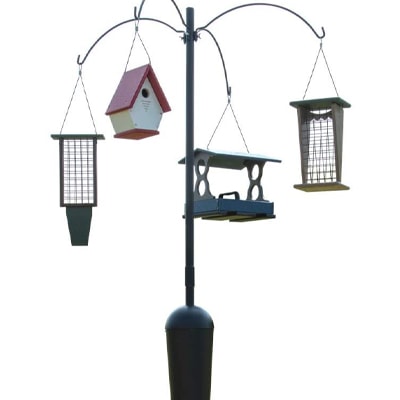bird feeder pole with feeders