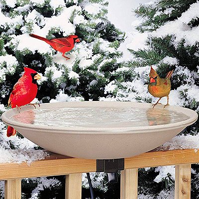 heated bird bath