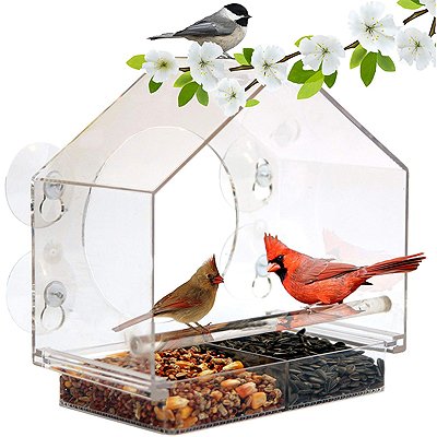 Bird Nest House Window Feeder SeeThrough Feed Nest Viewing Perspex Glass Garden 