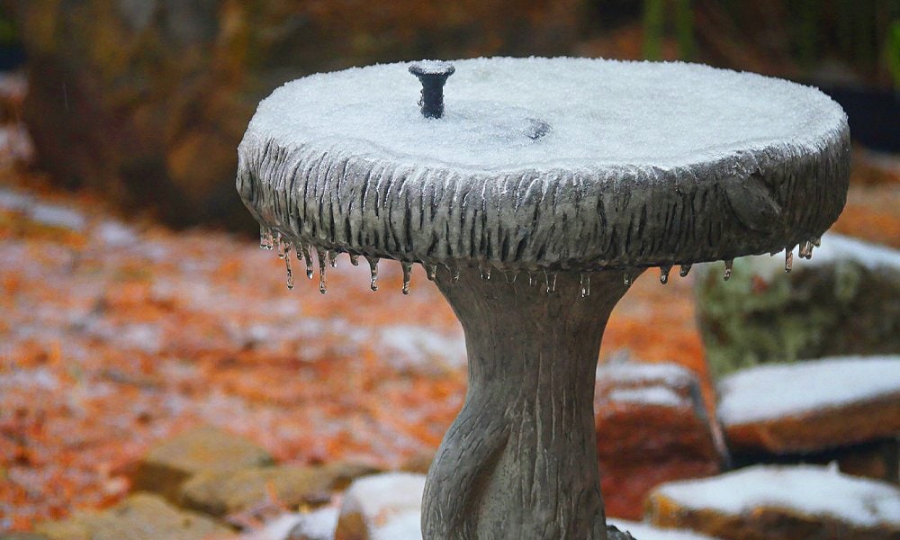 bird bath