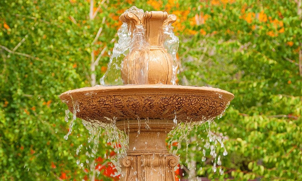 Orioles to fill position for official Bird Bath Performer after