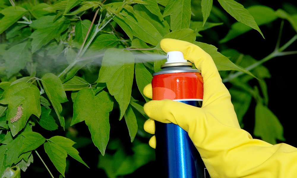 spraying chemicals