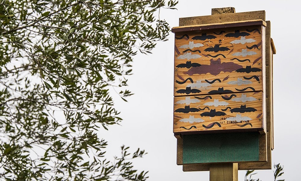 bat house