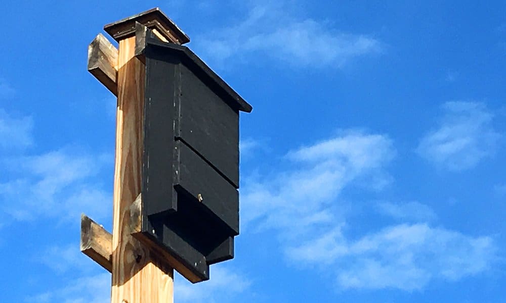 bat house