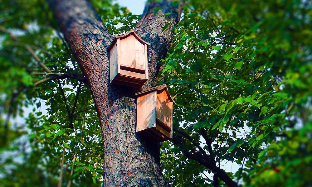 bat house