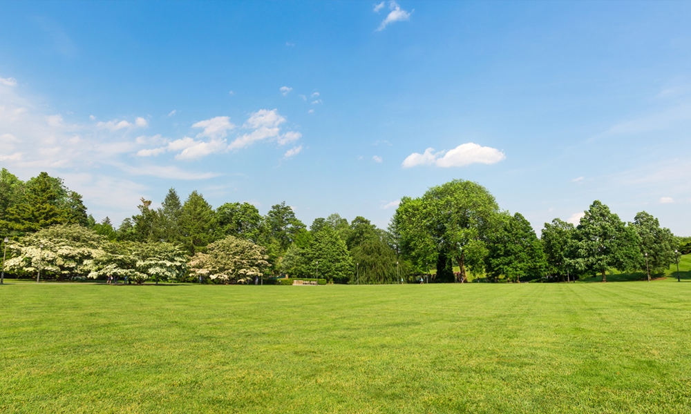 green field