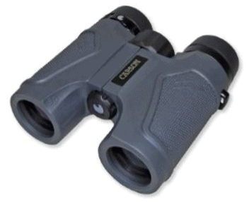 grey binoculars