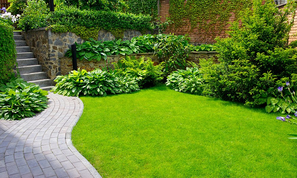 patio interior