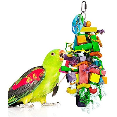 BIRD OR PARROT TOY 