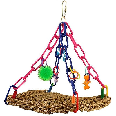 12 Best Toys for Parakeets to Keep em 