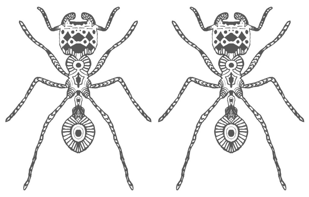 illustration of two ants