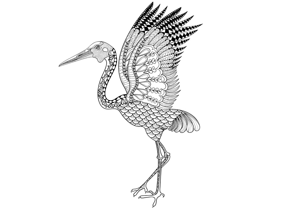 crane illustration