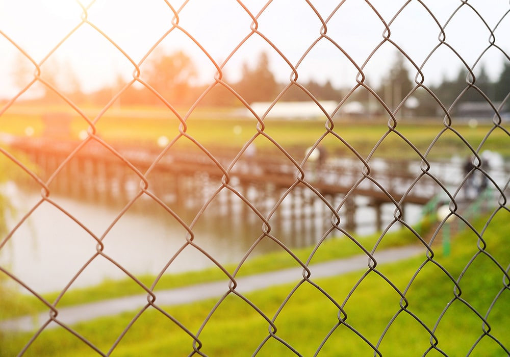 pond and a fence