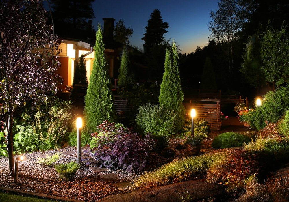 yard at night