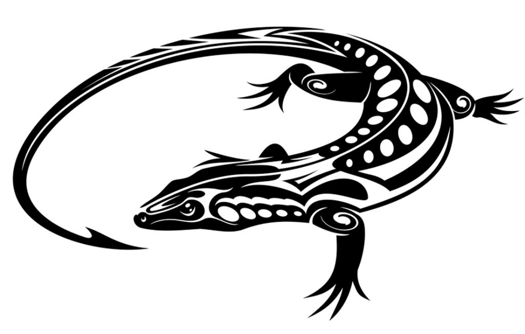 illustration of a lizard