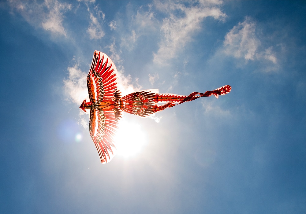 phoenix kite