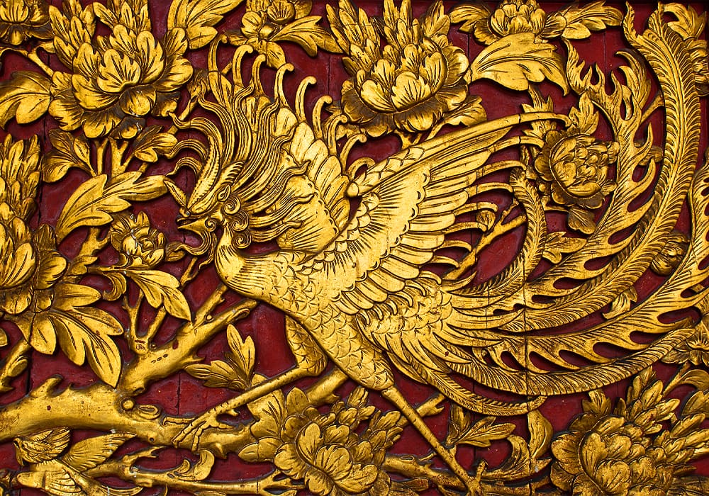 Phoenix Bird Symbolism & Meaning (+Totem, Spirit & Omens) - World Birds