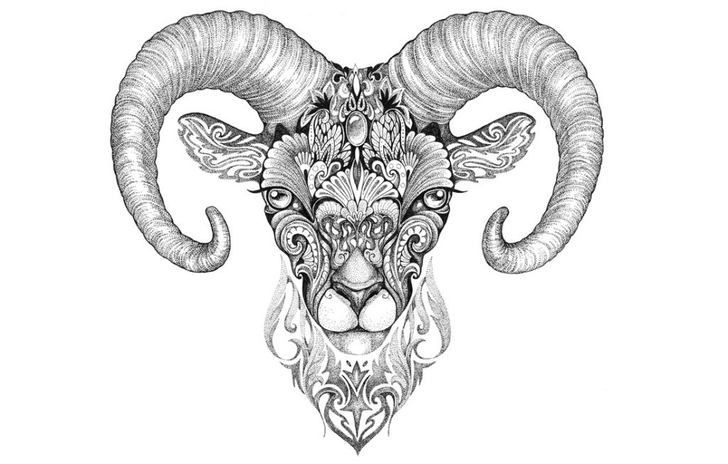 illustration of a ram head