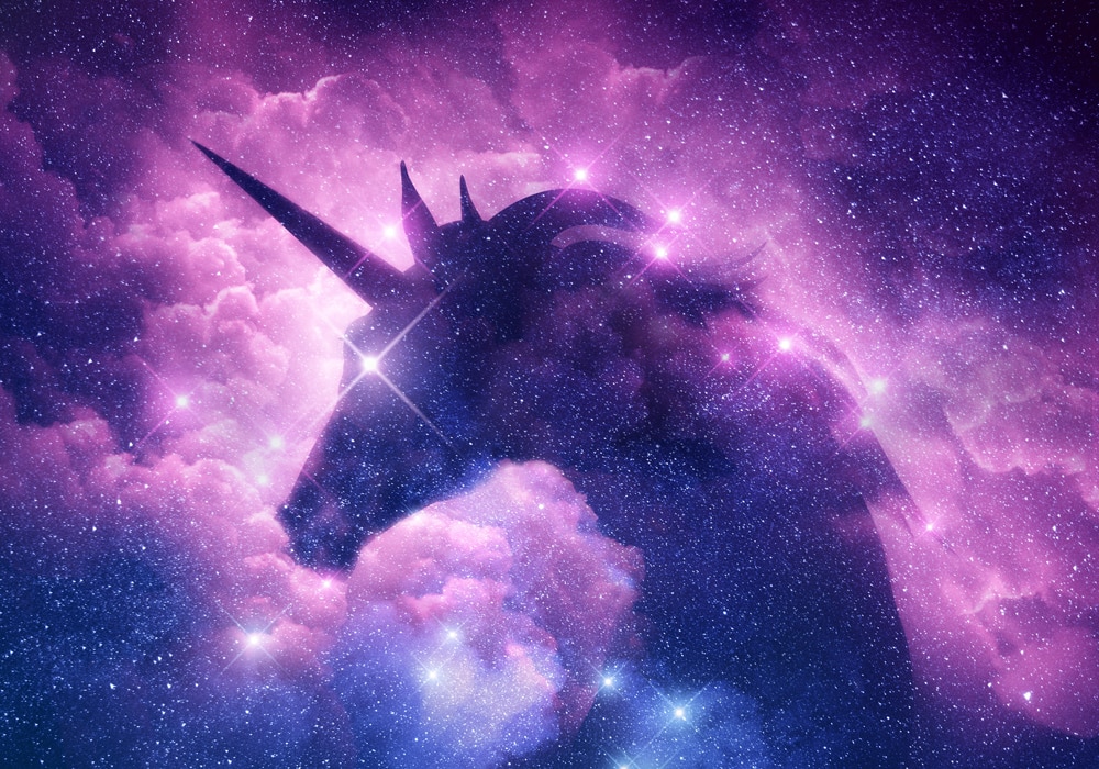 unicorn illustration