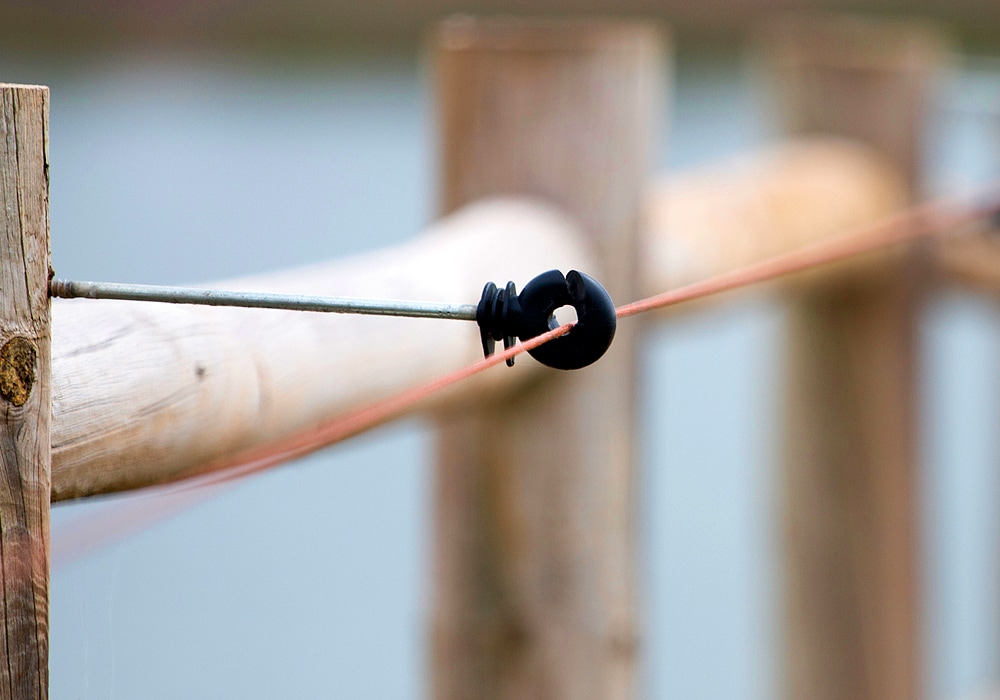 electric fence string