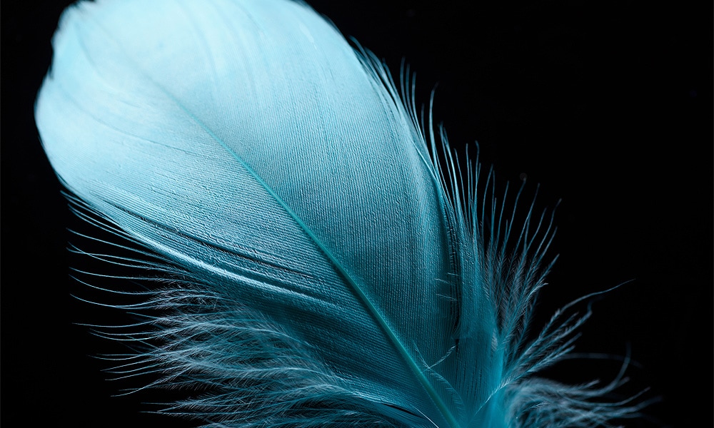 Brown Feathers As A Background Stock Photo, Picture and Royalty