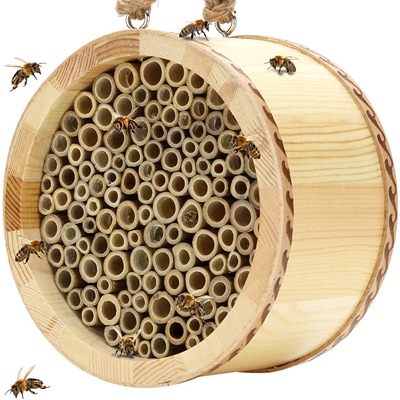 Mason Bee House Attracts Peaceful Bee Pollinators to Enhance Your Garden/'s Productivity Drop Shape Handmade Natural Bamboo Bee Hive
