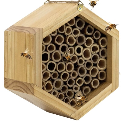 OhhGo Mason Bee House Eco Friendly Wooden Bee Hive Give Your Live Ladybugs or Lacewigs a Place to Live 
