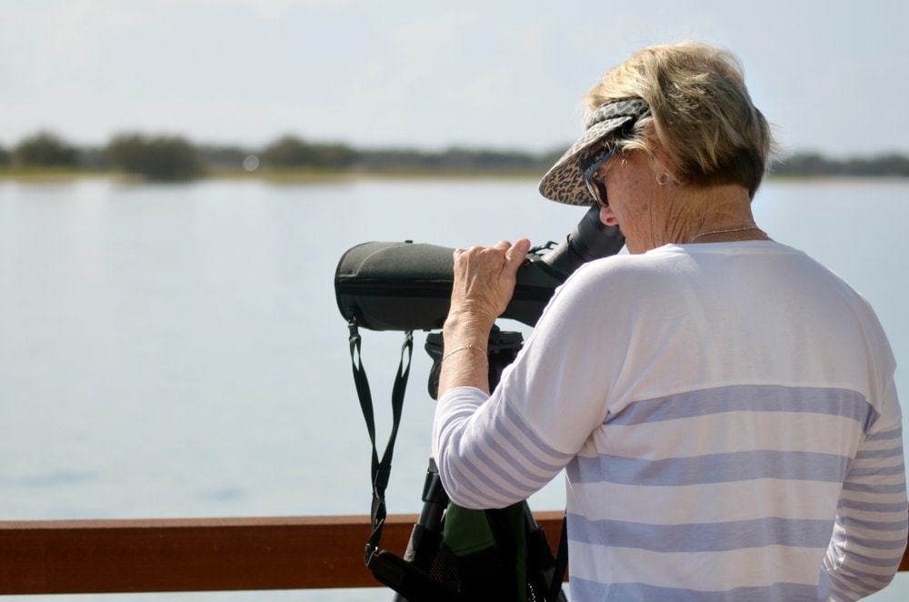 mujer observando aves a través de un catalejo