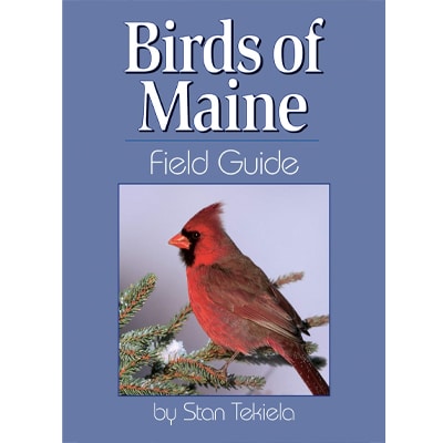 birds of maine book
