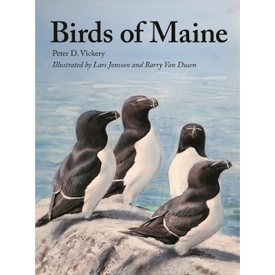 birds of maine book