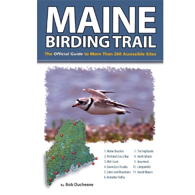 birds of maine book