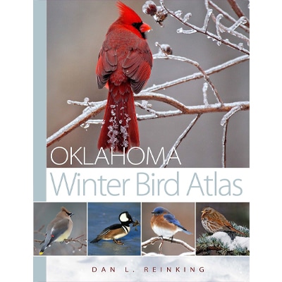 oklahoma winter bird guide