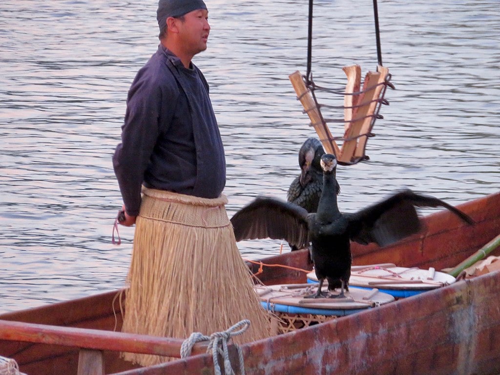 Ukai Fisherman