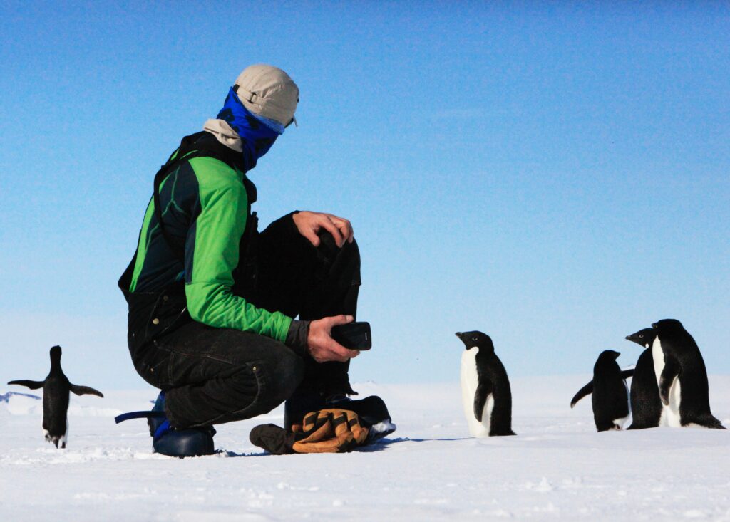Person with Adelie Penguins